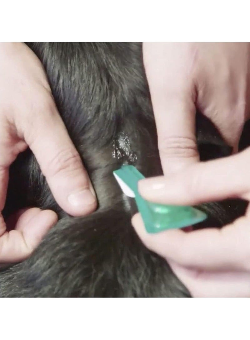 FRONTLINE Combo Flea & Tick Treatment for Cats and Ferrets - 3 Pipettes, Flea And Tick Treatment For Cats and Ferrets, Frontline for Cats - Image 3